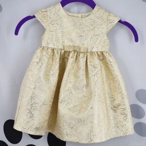 Iris & Ivy Nordstrom Cap Sleeve Toddler Dress Gold Rose Lined Back Button 12M